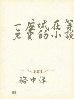 一座城在等你全免费的小说