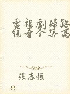 电视剧归路免费观看全集高清播放
