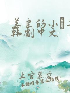 善良的小峓子2韩剧中文