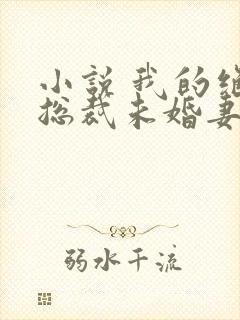小说 我的绝色总裁未婚妻