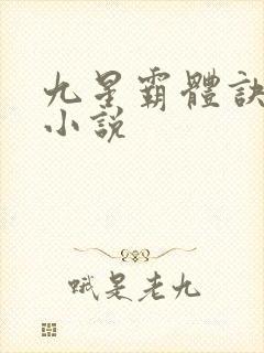 九星霸体诀正版小说