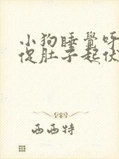 小狗睡觉呼吸急促肚子起伏快