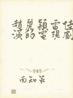 赵丽颖雷佳音主演的电视剧