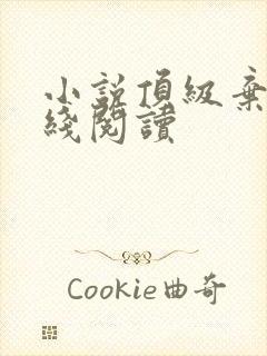 小说顶级弃少在线阅读