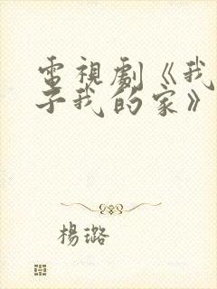 电视剧《我的孩子我的家》