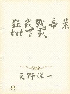 狂武战帝叶轻寒txt下载