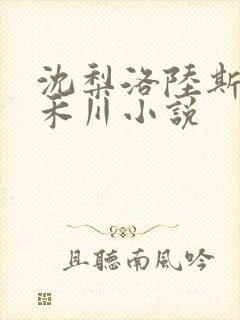 沈梨洛陆斯年陆禾川小说