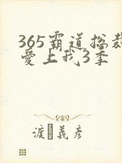 365霸道总裁爱上我3季