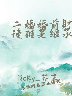 二婚婚前财产死后谁是继承人
