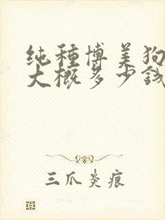 纯种博美狗一只大概多少钱