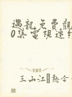遇龙免费观看40集电视连续剧