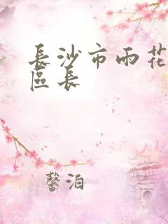 长沙市雨花区副区长