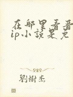 在哪里看晋江vip小说是免费的