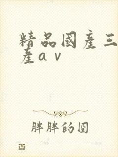 精品国产三级国产aⅴ