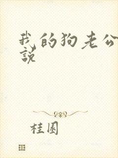 我的狗老公 小说