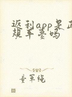 返利app是正规平台吗