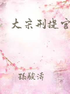 大宋刑提官 大宋刑提官