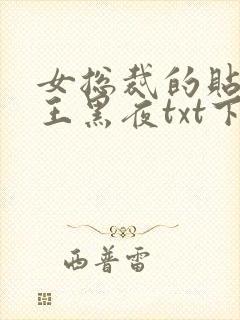 女总裁的贴身兵王黑夜txt下载