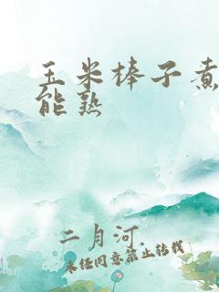 玉米棒子煮多久能熟