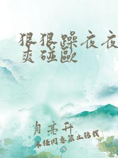 狠狠躁夜夜躁人爽碰欧