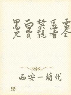 黑白禁区电视剧免费观看全集完整版