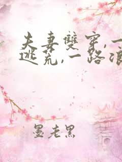 夫妻双穿,一路逃荒,一路浪的小说