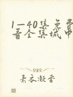 1—40集免费看全集城中之城