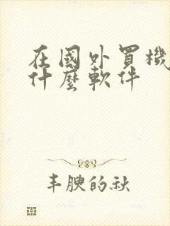 在国外买机票用什么软件