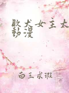 败犬女主太多了动漫
