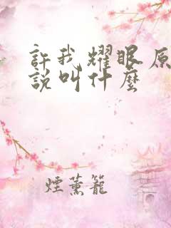 许我耀眼原著小说叫什么