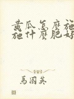 黄瓜怎么施肥?施什么肥好