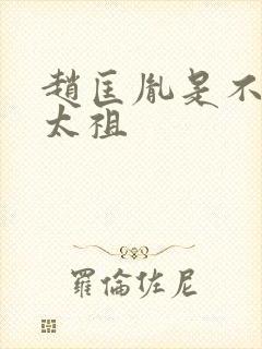 赵匡胤是不是宋太祖