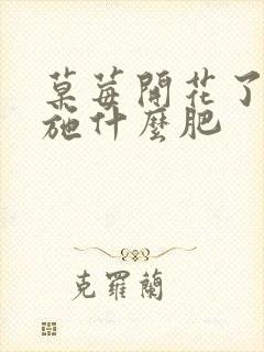 草莓开花了可以施什么肥