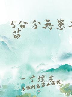 5公分无患子小苗
