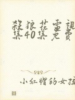 杀狼花电视剧全集40集免费观看