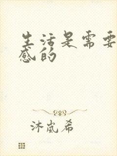 生活是需要仪式感的