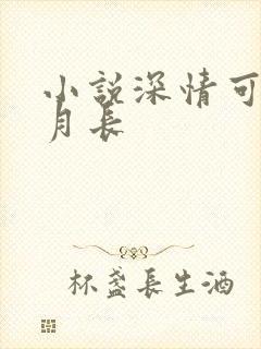 小说深情可抵岁月长