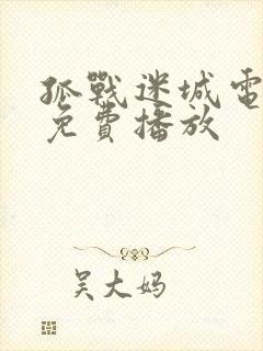 孤战迷城电视剧免费播放