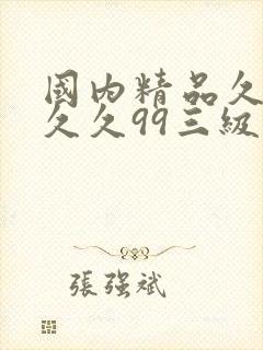 国内精品久久久久久99三级