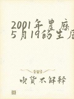 2001年农历5月19的生辰八字