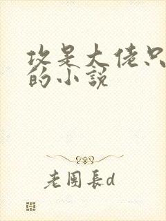 攻是大佬只宠受的小说 攻是大佬只宠受的小说