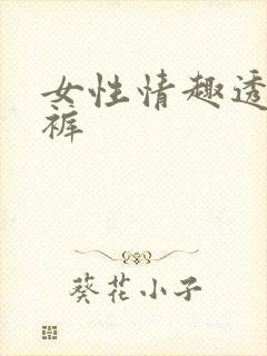 女性情趣透明内裤