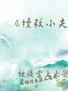 《续弦小夫人》