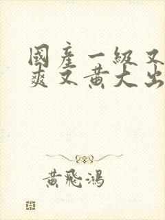 国产一级又色又爽又黄大出
