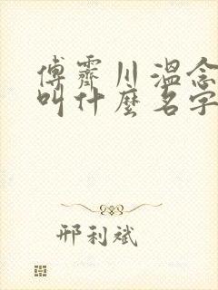 傅霁川温念小说叫什么名字 傅霁川温念小说叫什么名字