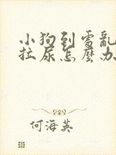 小狗到处乱拉屎拉尿怎么办 小狗到处乱拉屎拉尿怎么办