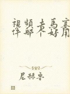 视频去马赛克软件哪个好用