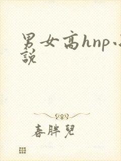 男女高hnp小说