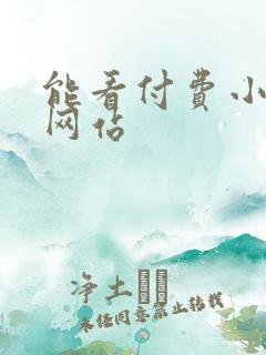 能看付费小说的网站