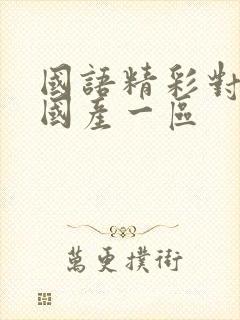 国语精彩对白 国产一区